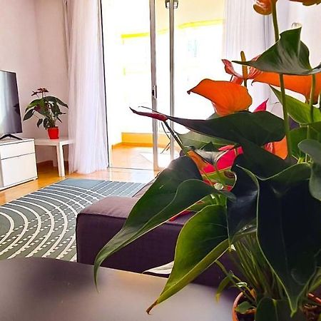 Apartamento Radazul Sea View Exteriér fotografie